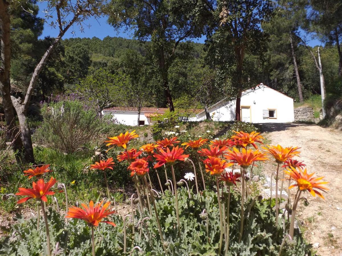 Quinta Da Barroquinha Guest House Vale de Prazeres Luaran gambar