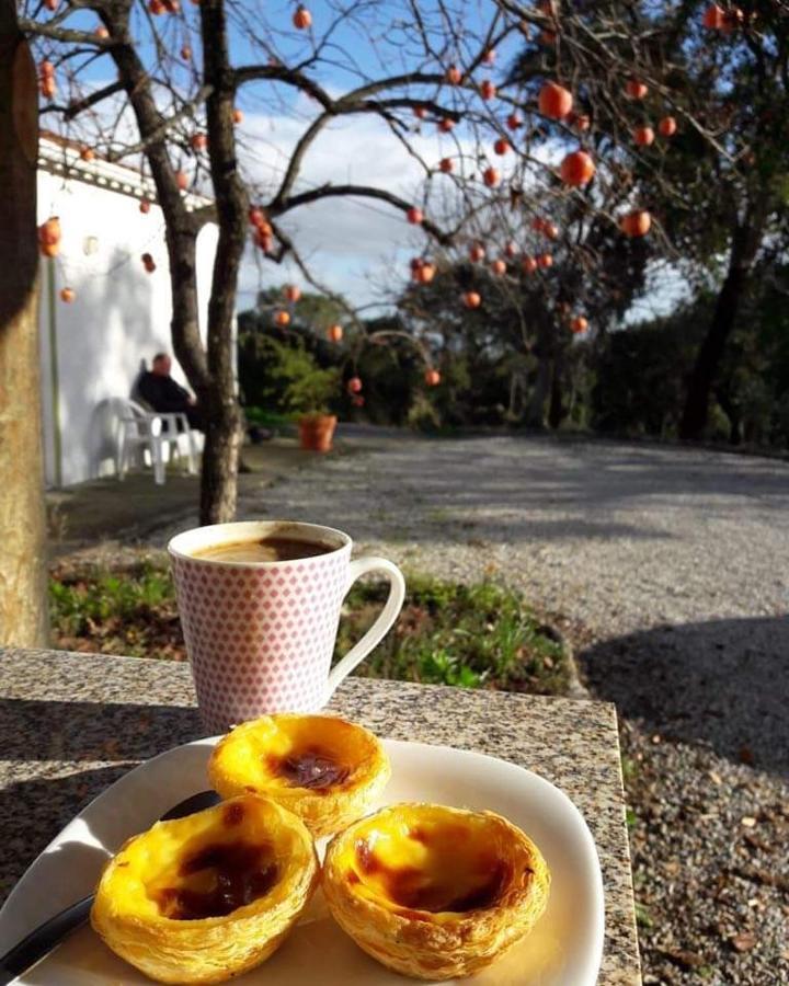 Quinta Da Barroquinha Guest House Vale de Prazeres Luaran gambar