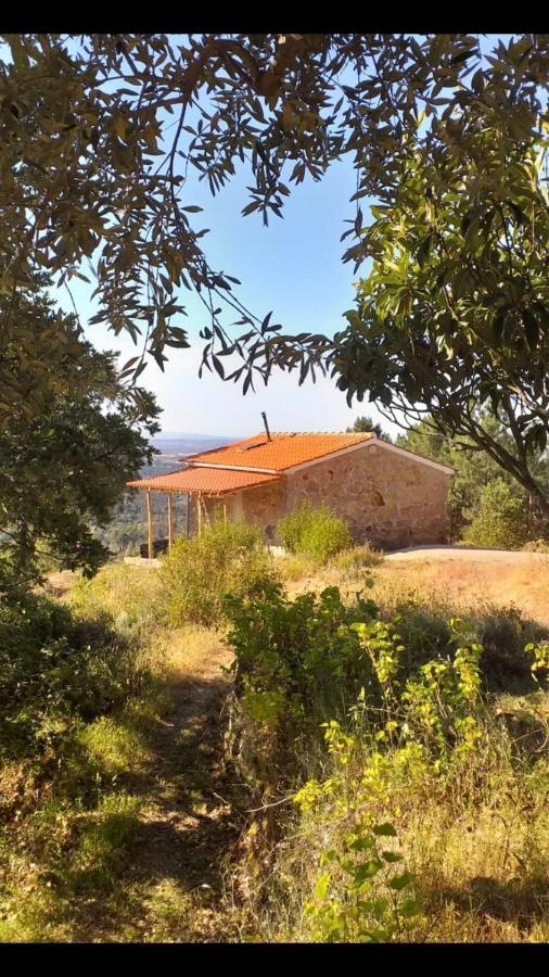Quinta Da Barroquinha Guest House Vale de Prazeres Luaran gambar